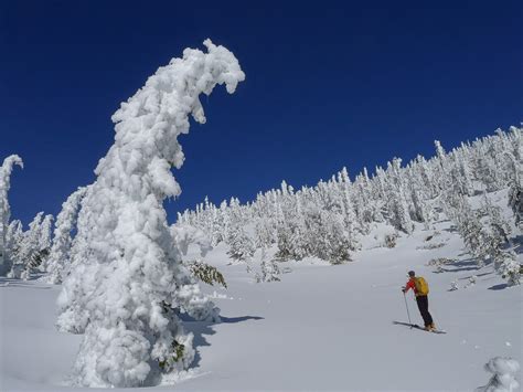 Guided Backcountry Skiing in Mammoth Lakes, CA | 57hours