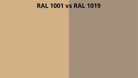 RAL 1001 vs 1019 | RAL colour chart UK