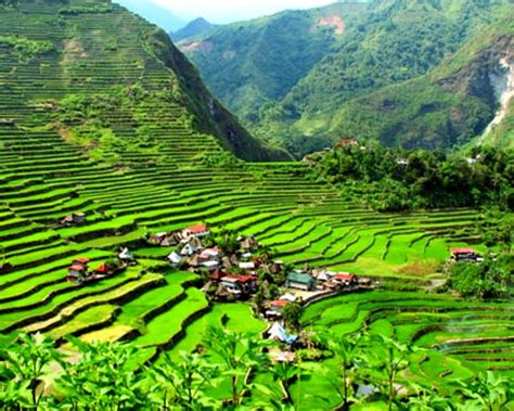 Banaue Rice Terraces - Ideas To Chill