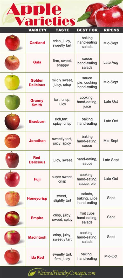 Apple Variety Guide Cheat Sheet : Cooking