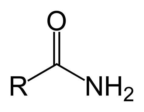 Amine Functional Group