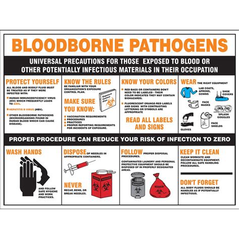 Bloodborne Pathogens Infographic | ubicaciondepersonas.cdmx.gob.mx