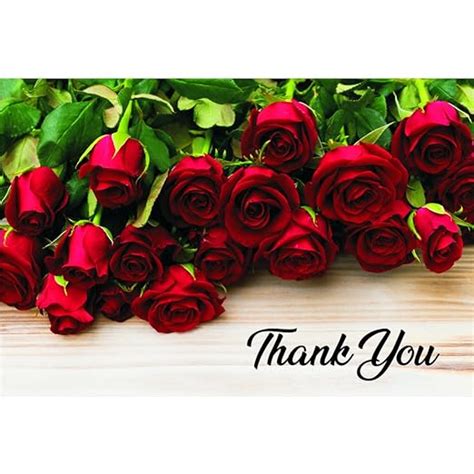 Amazon.com: Red Roses Thank You Postcards - 4in. X 6in. (25): Health ...