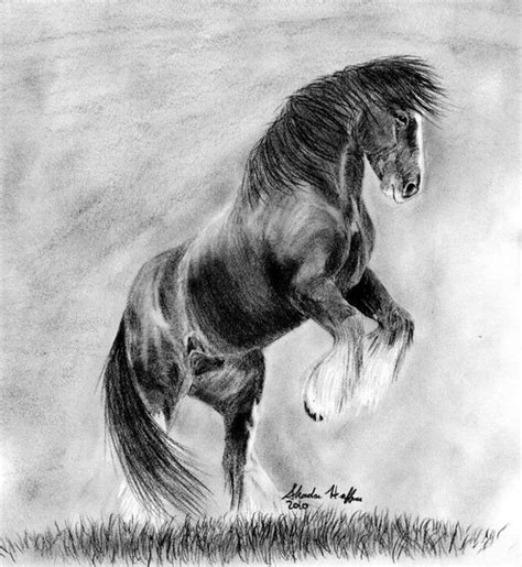 Horse Rearing Up Drawing at PaintingValley.com | Explore collection of ...