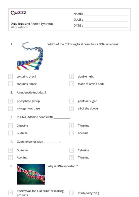 50+ rna and protein synthesis worksheets on Quizizz | Free & Printable