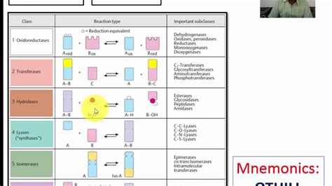 How to remember enzyme classification easily !!! - YouTube