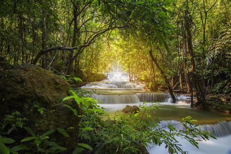 Beautiful waterfall nature scenery of colorful deep forest in summer ...