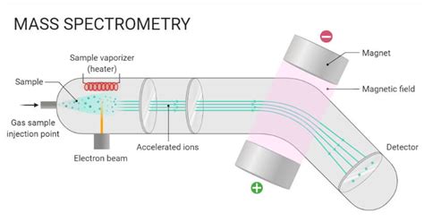 Mass Spectrometry (MS)- Principle, Working, Parts, Steps, Uses