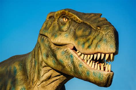 Facts About Tyrannosaurus Rex » Almanac » Surfnetkids