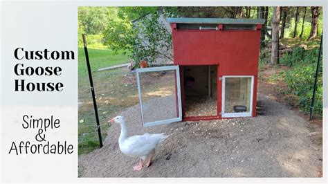 Build Your Own Custom Goose House - YouTube