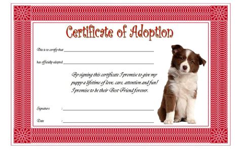 Pet Adoption Certificate Template 9