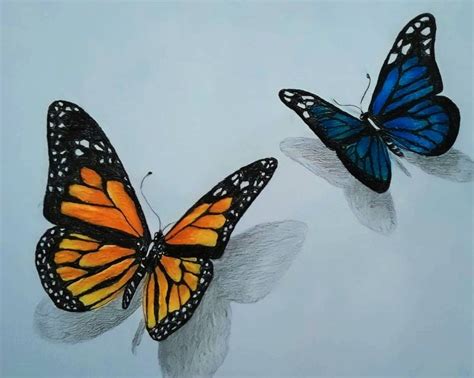 How To Draw A Realistic Butterfly