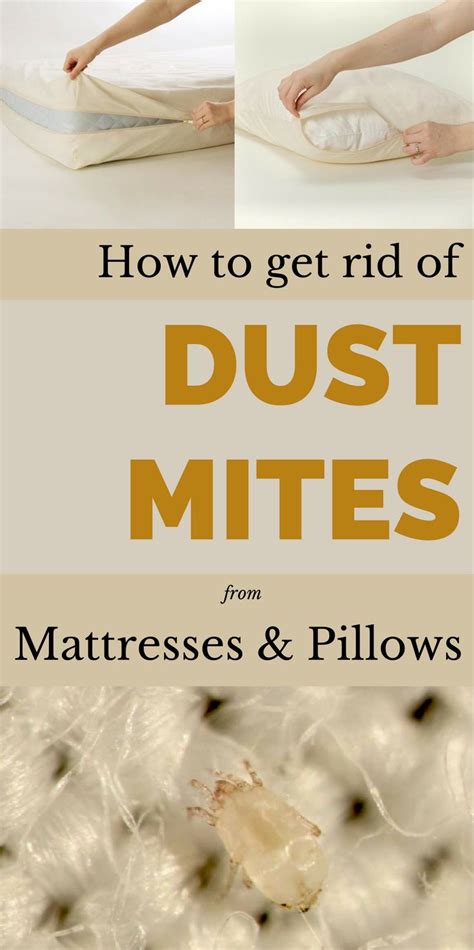 This is the best method to get rid of dust mites from mattresses and ...