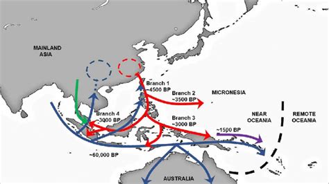 A close-up view of early migration through Southeast Asia. This diagram ...