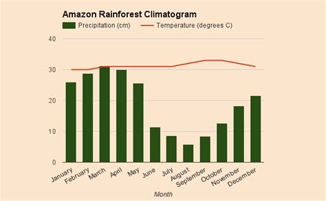 Climate and Weather - Amazon rainforest