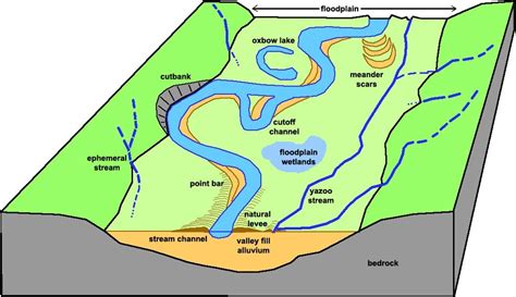 Coastlines, River Formation, and Flooding Vocab. Diagram | Quizlet