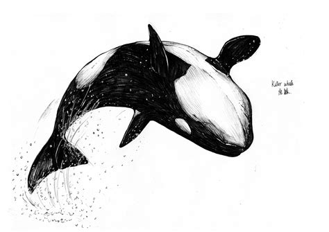 Orca Whale Tattoo, Killer Whale Tattoo, Whale Tattoos, Killer Whales ...