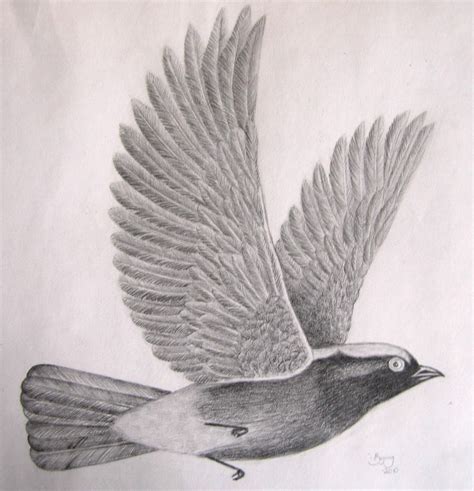 flying bird by PurpleHope on DeviantArt