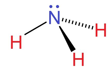 Explain the structure of ammonia.