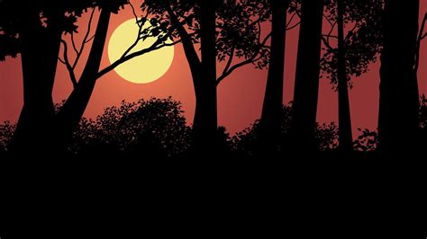 Tree silhouette on forest sunset 5732472 Vector Art at Vecteezy