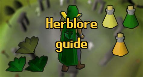 OSRS Herblore Training Guide From Level 1 To 99 | Probemas