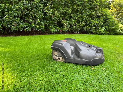 Modern robot lawn mower on green grass in garden Stock Photo | Adobe Stock