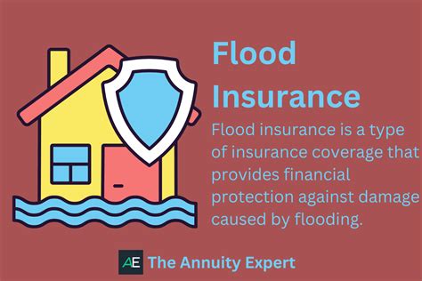 Flood Insurance, Everything You Need to Know (2023)