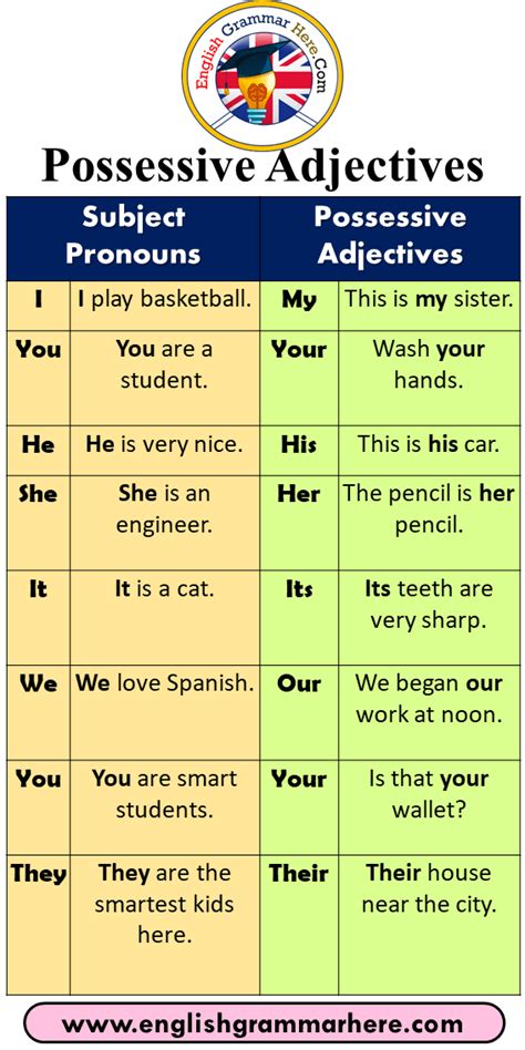 8 Possessive Adjectives, Definition and Example Sentences - English ...