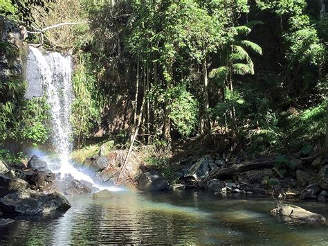 Exploring the Gold Coast Hinterland - Travelin' Fools