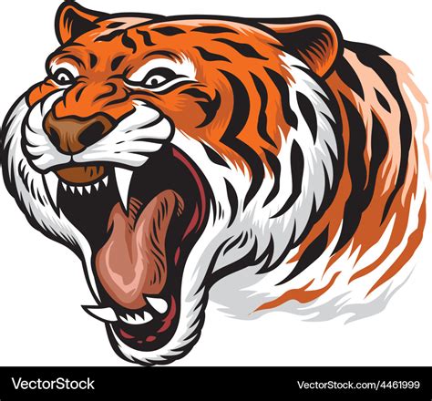 Roaring angry tiger Royalty Free Vector Image - VectorStock