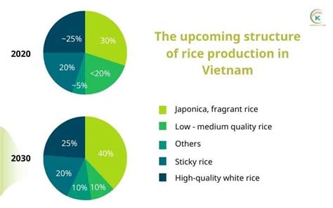 Rice Production In Vietnam Has Continuously Increased Over Years | K ...