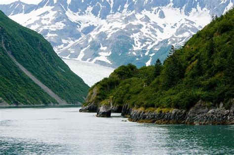 Tickets & Tours - Kenai Fjords National Park, Seward - Viator