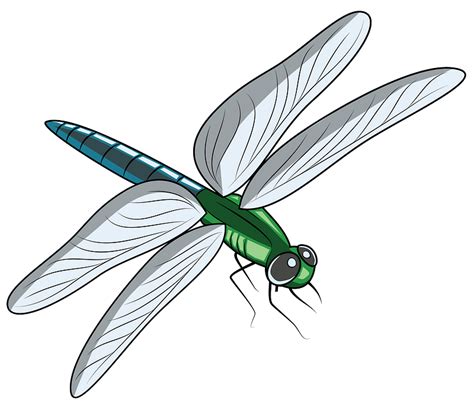 Dragonfly Clip Art Free Dragonfly Clipart Stunning Free Transparent ...