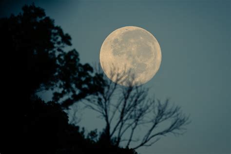 The Spiritual Meaning of the Full Hunter’s Moon — Julie Peters