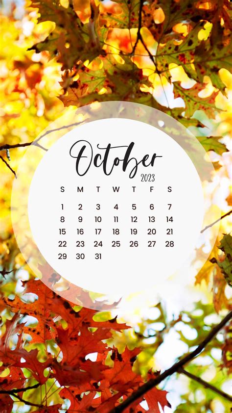 October Calendar 2023 Wallpaper - TubeWP