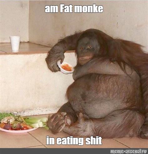 Мем: "am Fat monke in eating shit" - Все шаблоны - Meme-arsenal.com