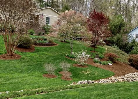 Sloped Front Yard | North Carolina Extension Gardener Plant Toolbox