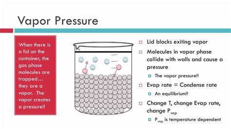 Evaporation, Vapor Pressure and Boiling - YouTube