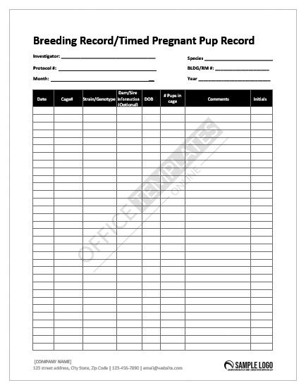 28+ Free Worksheet Templates in MS Word - Editable|Printable