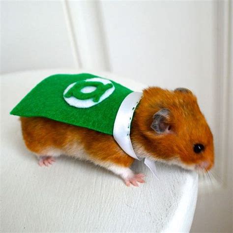 Green Lantern costume hamster / guinea pig / by laMarmotaCafe, $9.00 ...