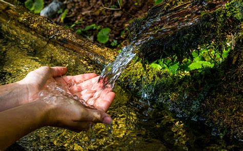 Water Scarcity and Kashmir’s Freshwater Springs - JK Policy Institute