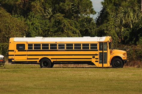 School Bus Side View Stock Photos, Pictures & Royalty-Free Images - iStock