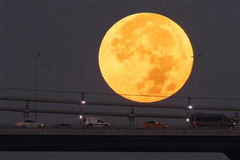 13 breathtaking photos of the supermoon known as the ‘blue moon’ in ...