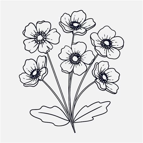 Flower Outline Clipart Free | Best Flower Site