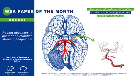 The Paper of the Month August - World Stroke Academy