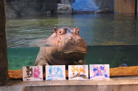 Hippo Kiss Painting at PaintingValley.com | Explore collection of Hippo ...