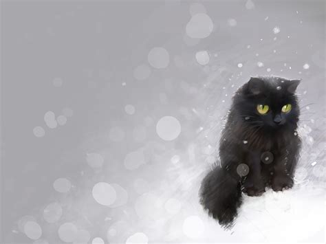 Cute Winter Cat Wallpapers - Wallpaper Cave