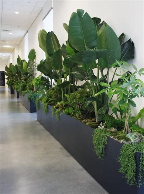 office window plant - Поиск в Google | Interior design plants, Interior ...