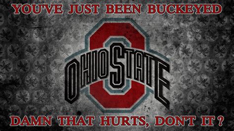 DAMN THAT HURTS - Ohio State University Basketball Wallpaper (26349786 ...