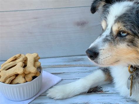 Homemade Peanut Butter Dog Bones (For Your Special Mutt)